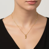 Steel necklace with OCEAN MINI sea horse pendant